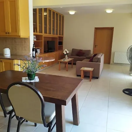 Penthouse In Nicosia Apartment